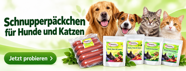 Schnupperangebote